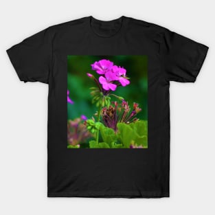 Geranium T-Shirt